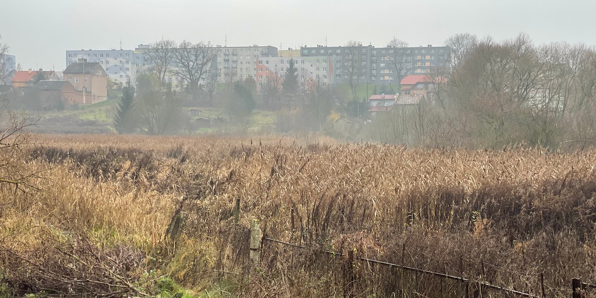 Bez większych zmian w pogodzie we wtorek. Zdjęcie poglądowe.