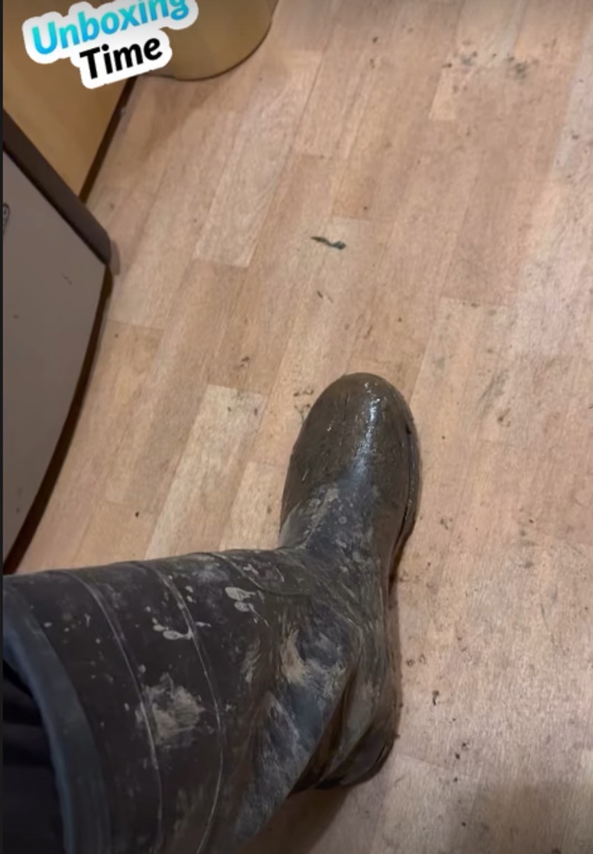  Aleksandar Radojičić, objava