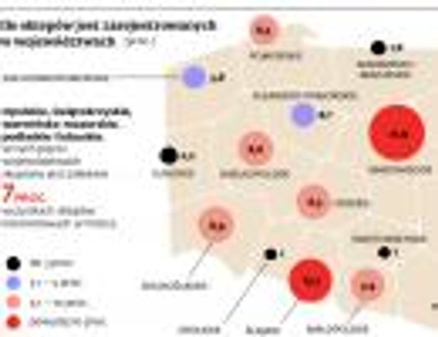 Ile sklepów jest zarejestrowanych w województwach