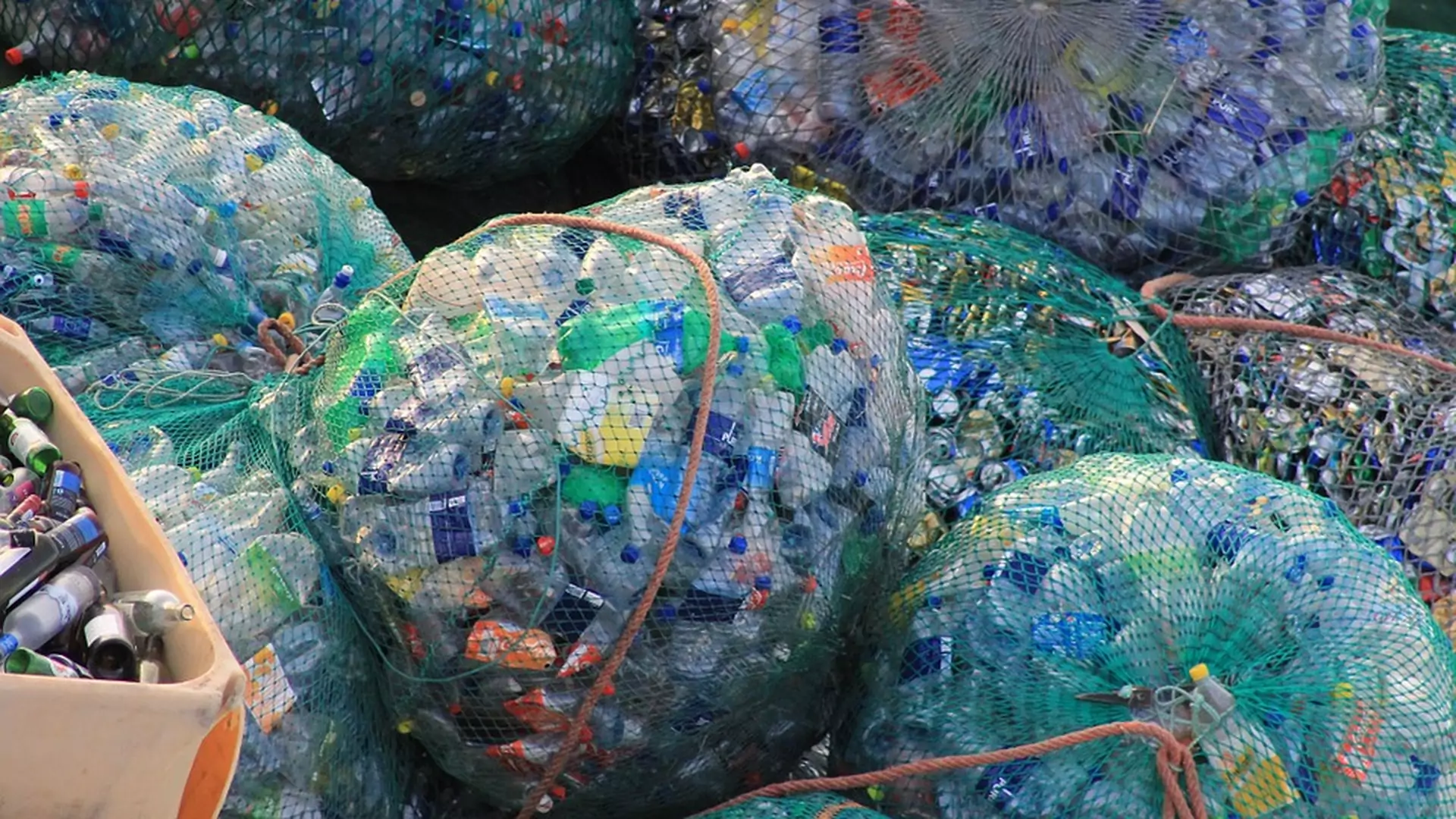 Odkryto bakterie, które jedzą plastik. Uratują Ziemię przed tonami butelek?