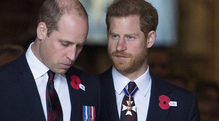 Harry herceg már Angliában van, de nem fog találkozni bátyával, Vilmos herceggel Fotó: Getty Images