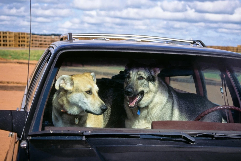 Nekoliko minuta može da znači mnogo