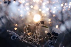 Najkrótszy dzień roku 2023 już niedługo. Kiedy wypada i ile potrwa?