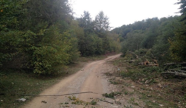 TUTIN01 Mesto gde je policija bila u zasedi