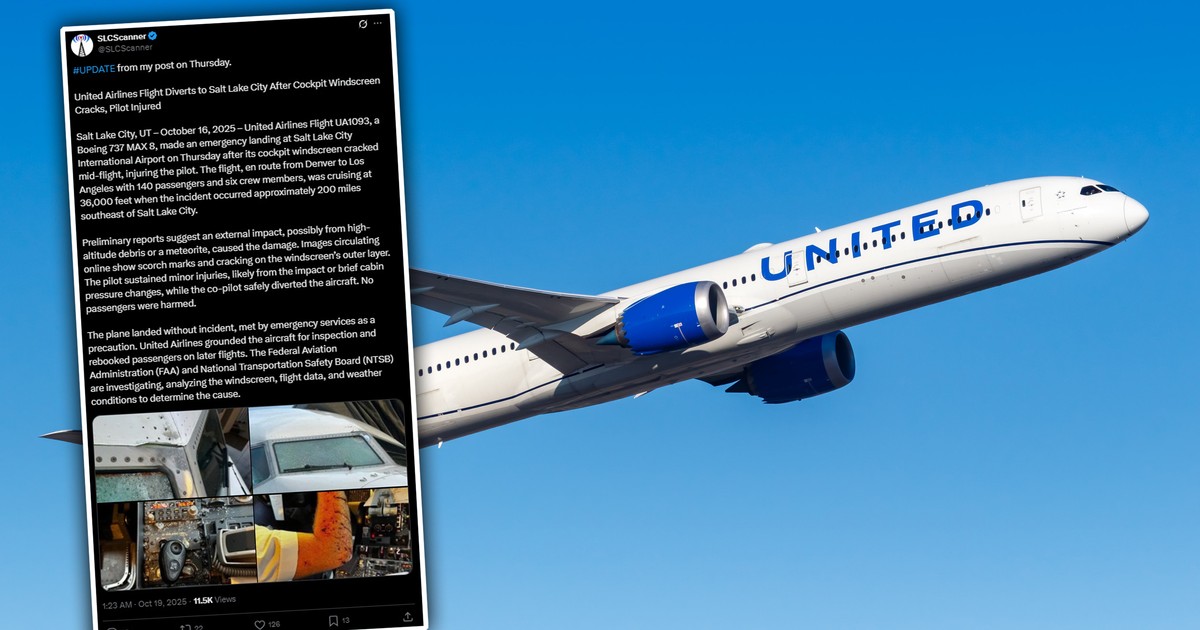 Awaryjne lądowanie, pilot pokazał skalę obrażeń. Mówią o kosmicznym obiekcie