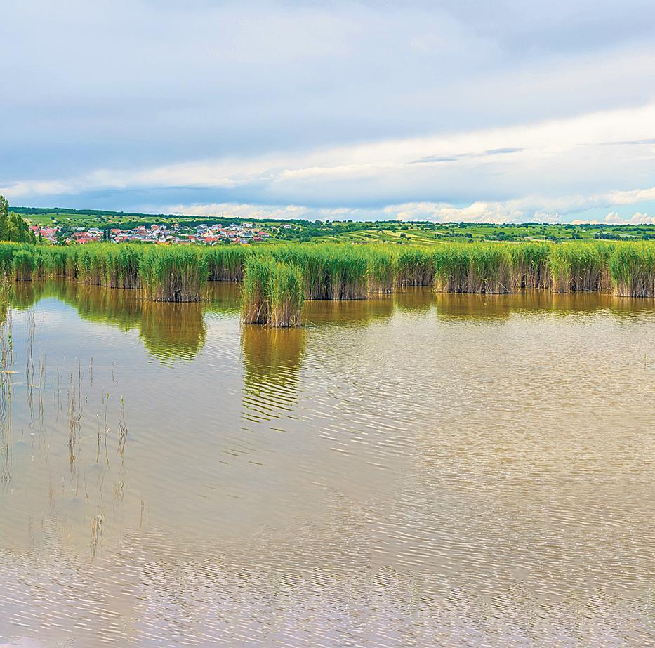 A Fertő-tóban találták meg a holttestet /Fotó: Shutterstock