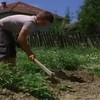 Milija Jelić