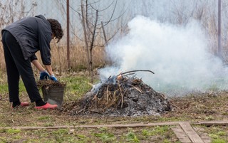 Palenie liści i gałęzi na działkach. Czy zawsze grozi mandat?