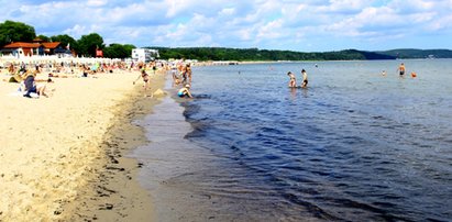 Problem w Sopocie! Na plaży gniją glony!