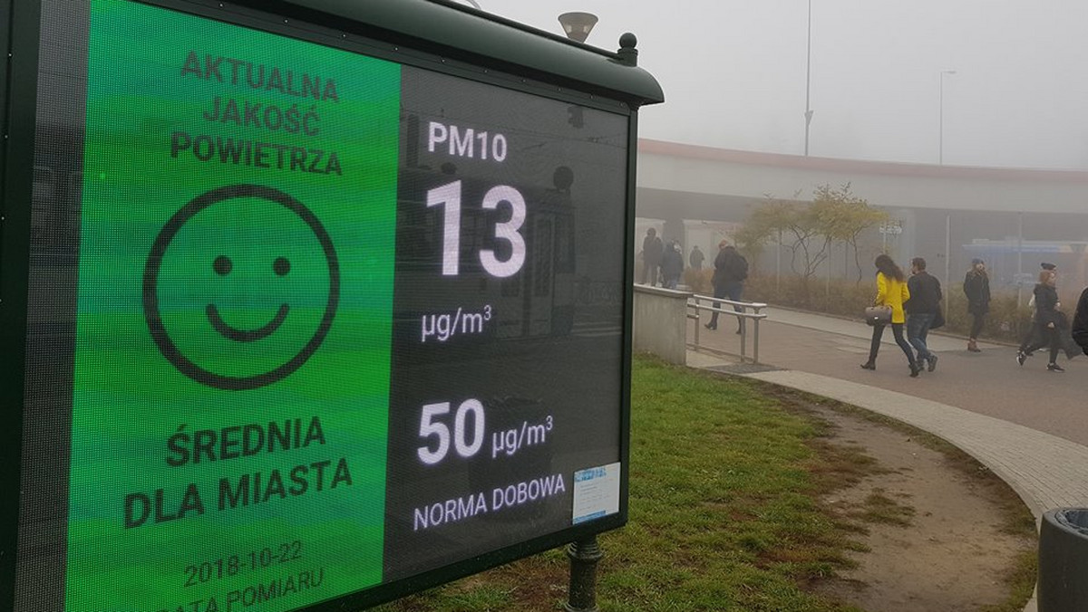 Światowa Organizacja Zdrowia opublikowała raport, z którego wynika, że aż 93 proc. dzieci poniżej 15. roku życia oddycha powietrzem, które zagraża prawidłowemu rozwojowi.