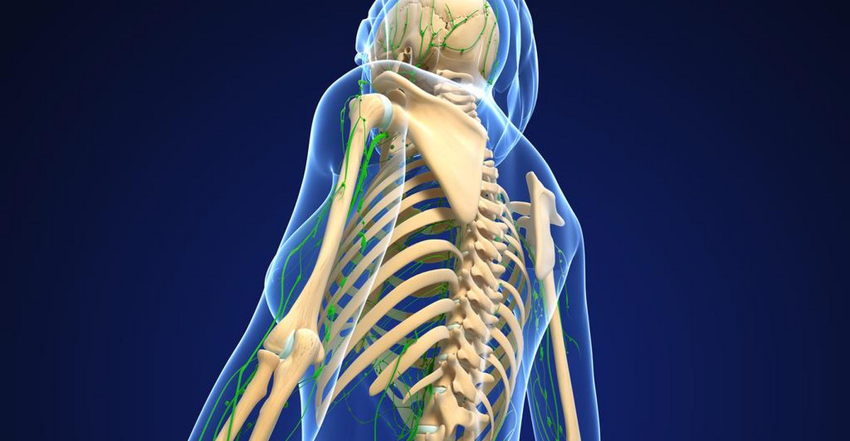 Przełom w chirurgii ortopedycznej. Naukowcy odkryli super elastyczną kość
