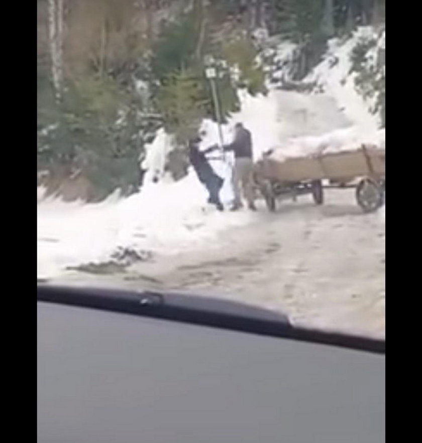 Woźnica poganiał konia na lodzie. Przyłożył mu świadek zdarzenia
