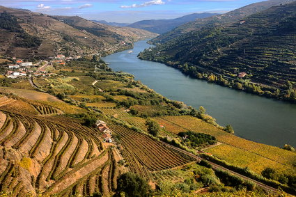 Dolina Douro – najcenniejsze winnice Portugalii w jesiennych kolorach