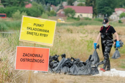 Skażenie Odry. Pięć faktów, które trzeba znać