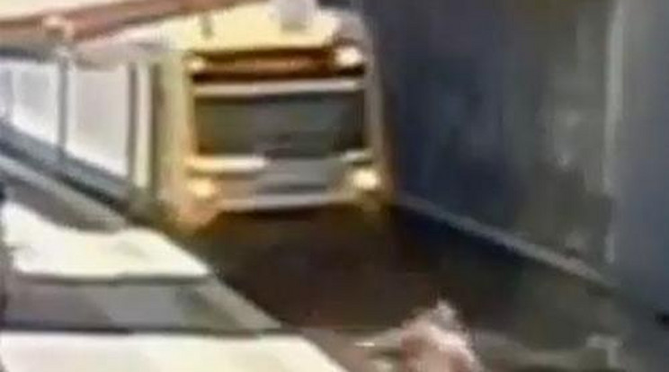Centikre kerülte el a halált a sínekre esett férfi! - videó