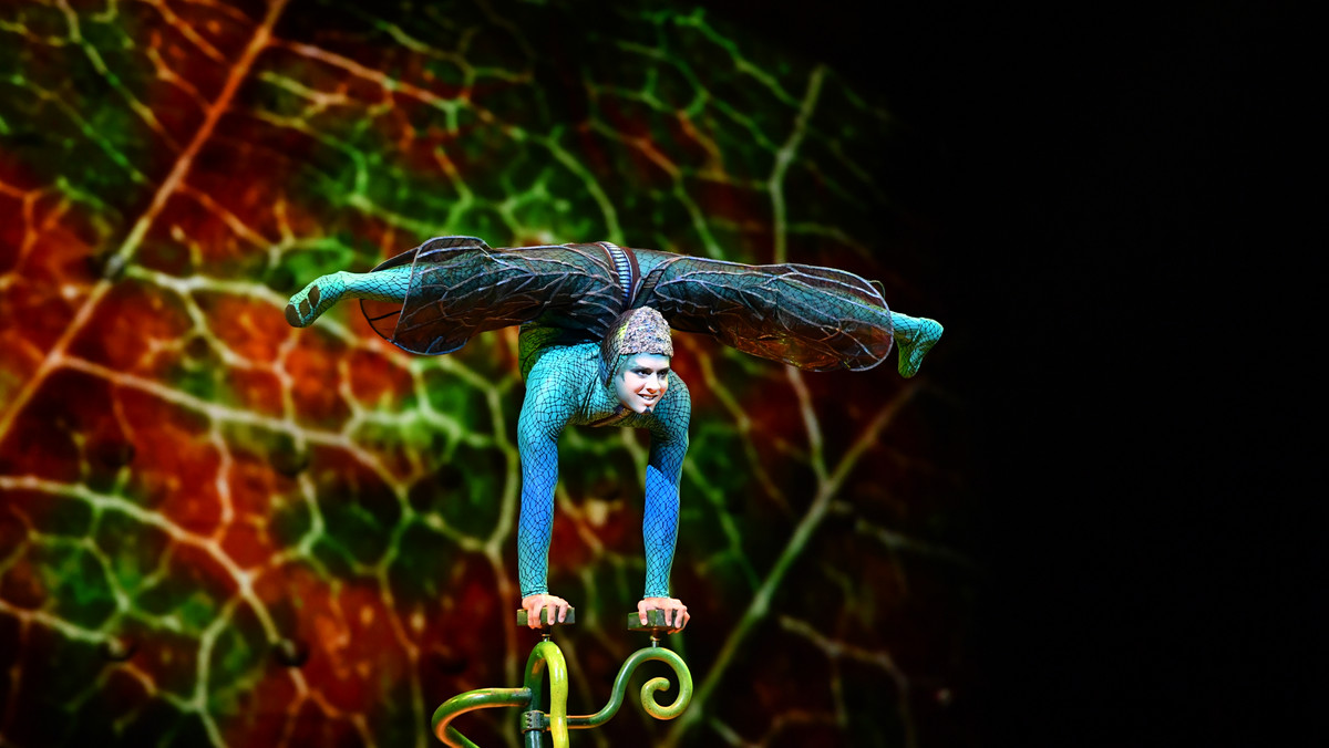 Grupa Cirque du Soleil powraca do Polski ze spektaklem OVO. Grupa wystąpi w Polsce w kwietniu przyszłego roku. Występy odbędą się w Krakowie i Trójmieście.