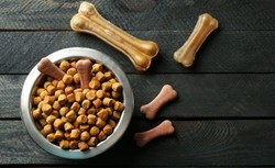 PIE: w 2022 r. Polska była 5. światowym eksporterem karmy dla psów i kotów