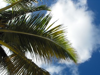 Suterena z pięcioma gwiazdkami. Wpadki biur podróży