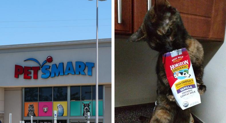 Pet parents are showing off the quirky personalities of their beloved animals in an effort to get PetSmart's attention and a $10,000 payday.SOPA Images/Getty Images Morgan Rachael/Facebook