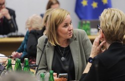 Awantura w Sejmie. Filiks: Pani poseł wpadła w szał, krzyczała o moim synu