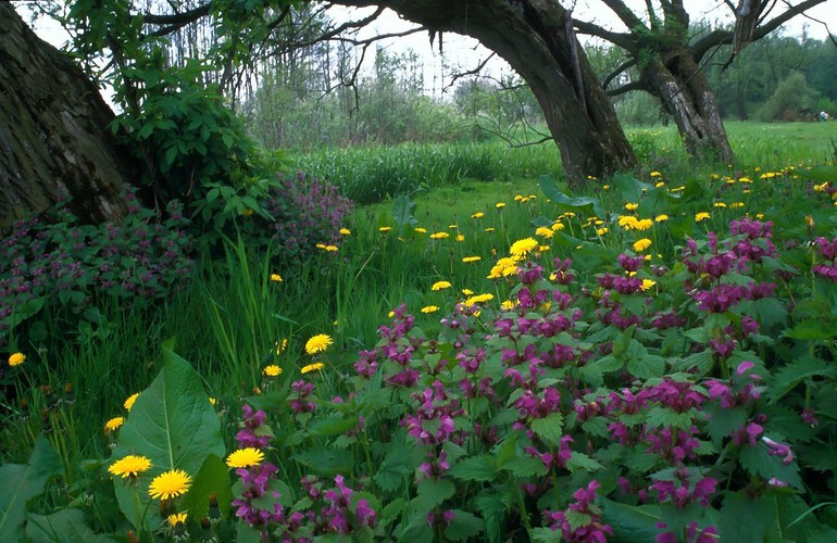 Najpiękniejsze krajobrazy Polski