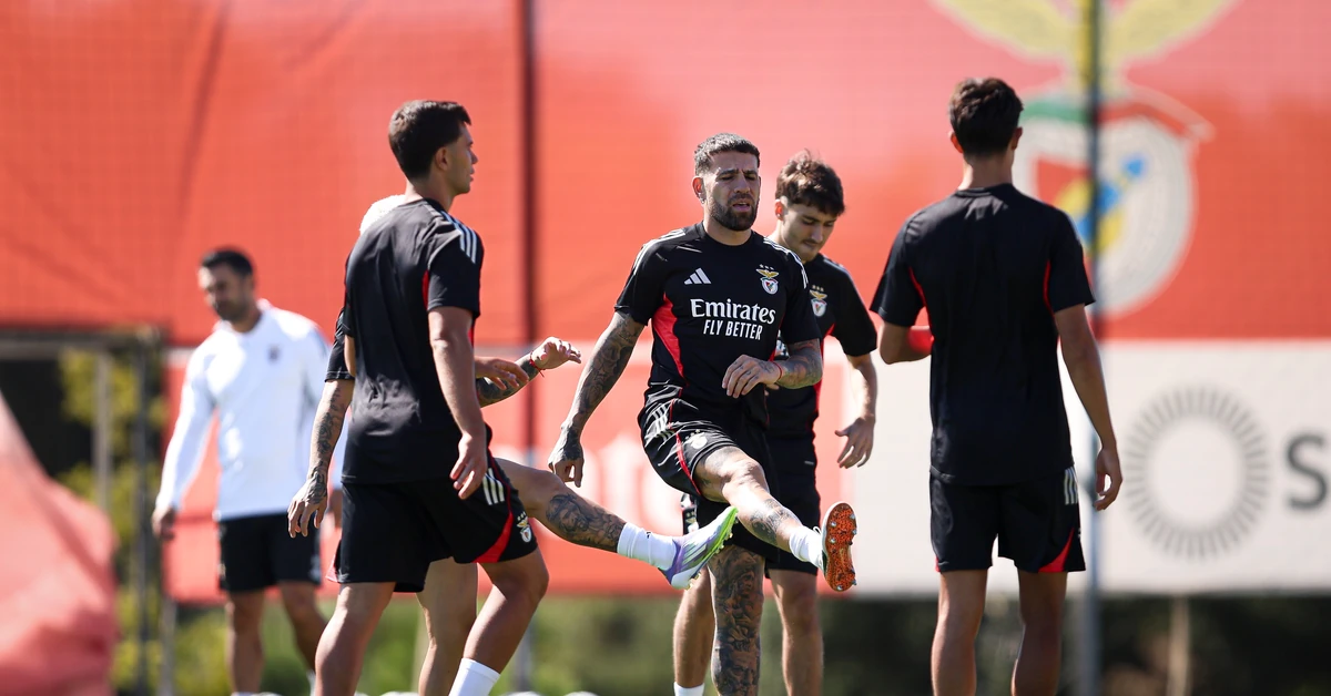 UEFA wypłaci rekordowe pieniądze. 2,467 mld euro dla uczestników Ligi Mistrzów