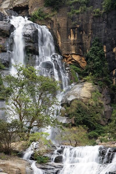 Galeria Sri Lanka - bogactwo fauny i flory, obrazek 2