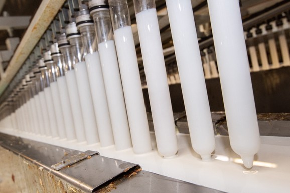 Skok cene kondoma: Očekuje se rast za 30% zbog rata i poremećaja u lancima snabdevanja