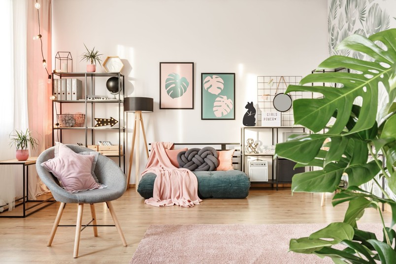 Czy Monstera oczyszcza powietrze?