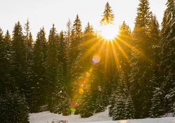 Temperatura wystrzeli do 15°C. Po ciepłych dniach przyjdzie śnieżny paraliż