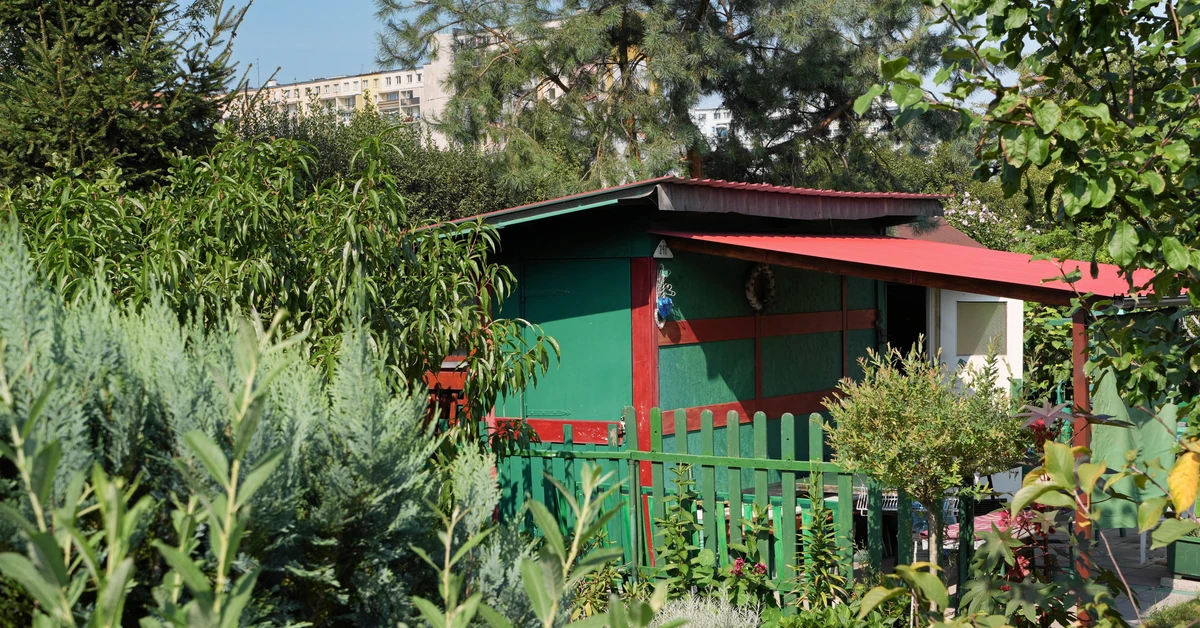 Rząd może błyskawicznie przejąć ogródki działkowe. Specustawa precyzuje warunki