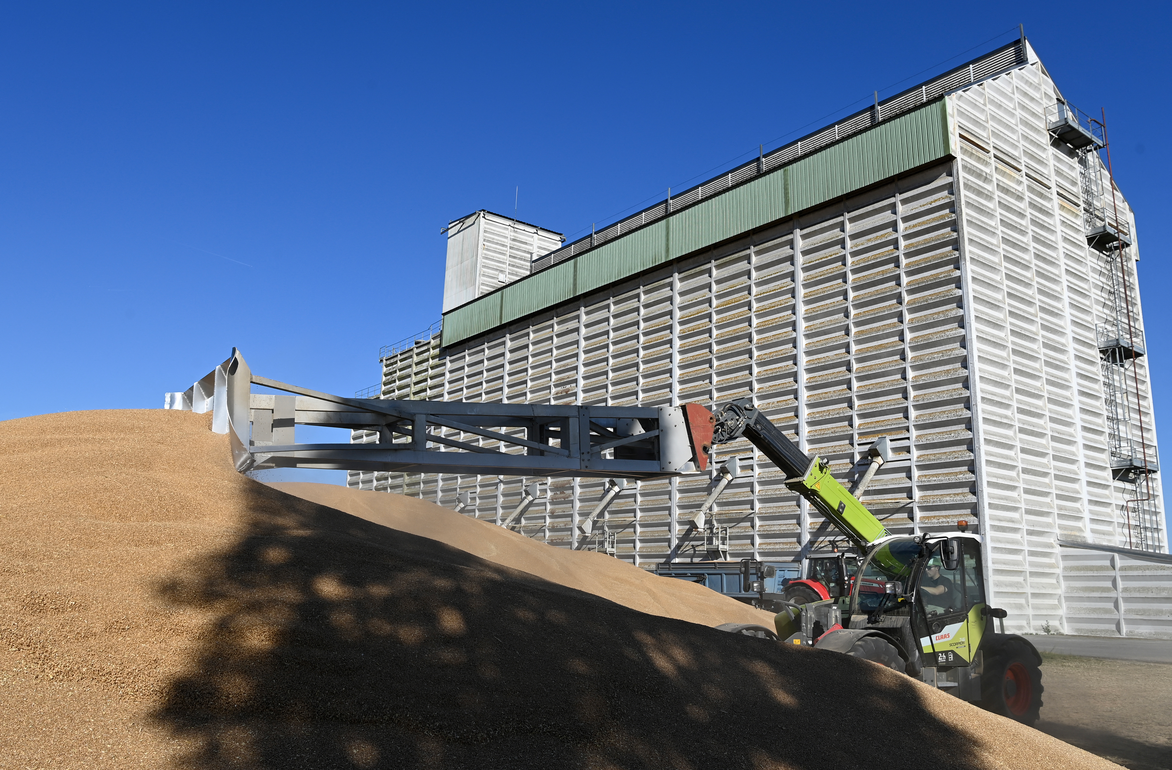 Effondrement des céréaliers : 50 000 exploitations françaises sans bénéfices