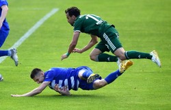 Kibic z Wrocławia wynajął dźwig, by "na żywo" obejrzeć mecz w Płocku [FOTO]