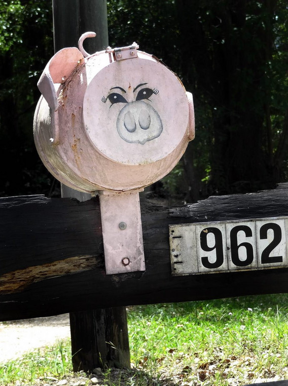 Skrzynka świnka, QLD, Australia, fot. whereisjuli.com