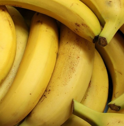 Bananen sind bei Klein und Gross sehr beliebt, jedoch können beim Verzehr Fehler gemacht werden.