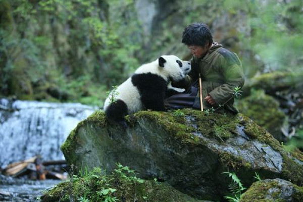 "Panda" (2009)