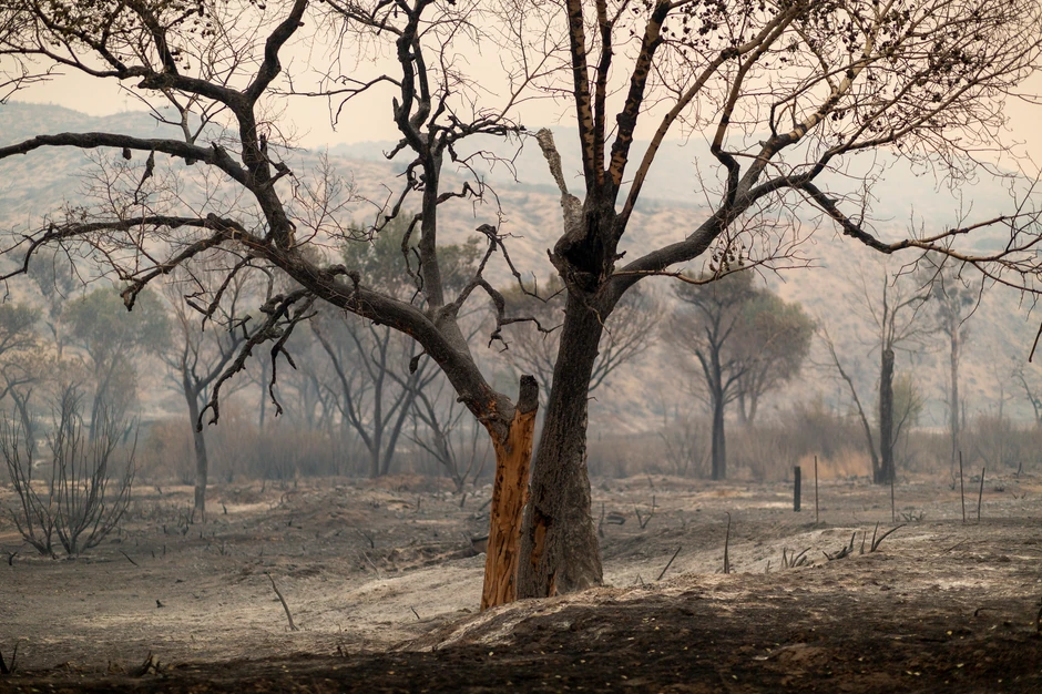 Požari u Kaliforniji