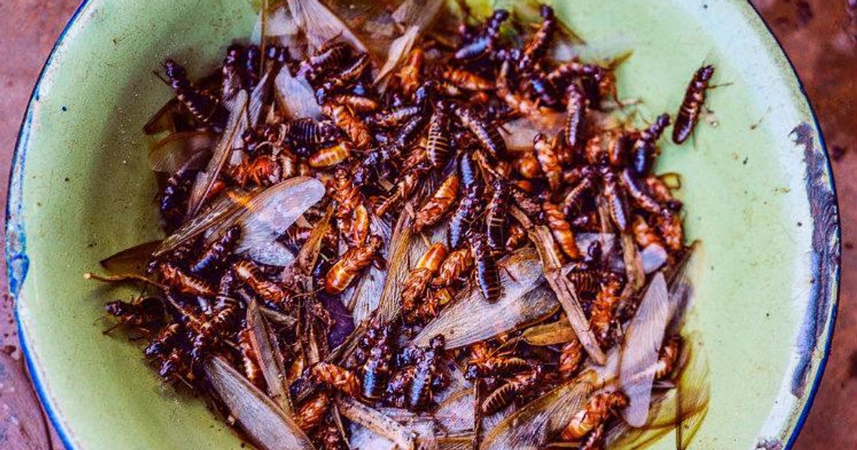 Here are 10 unusual foods Nigerians eat Pulse Nigeria