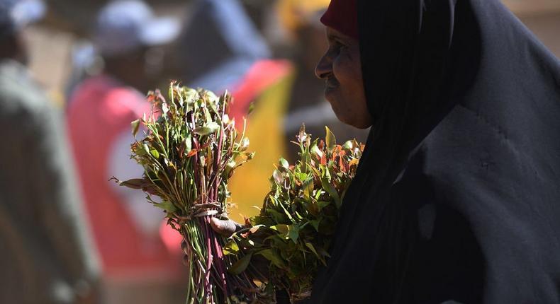 Khat trader carrying shoots for transportation at an open air market in Maua, in Meru county on May 31, 2022. (Photo by SIMON MAINA/AFP via Getty Images)