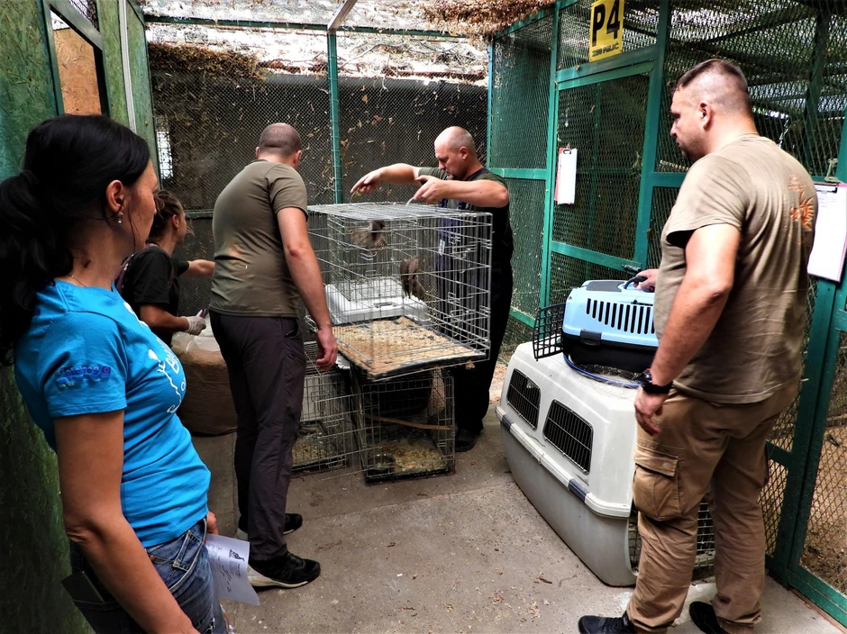 Zbrinute ptice vraćene u prirodu