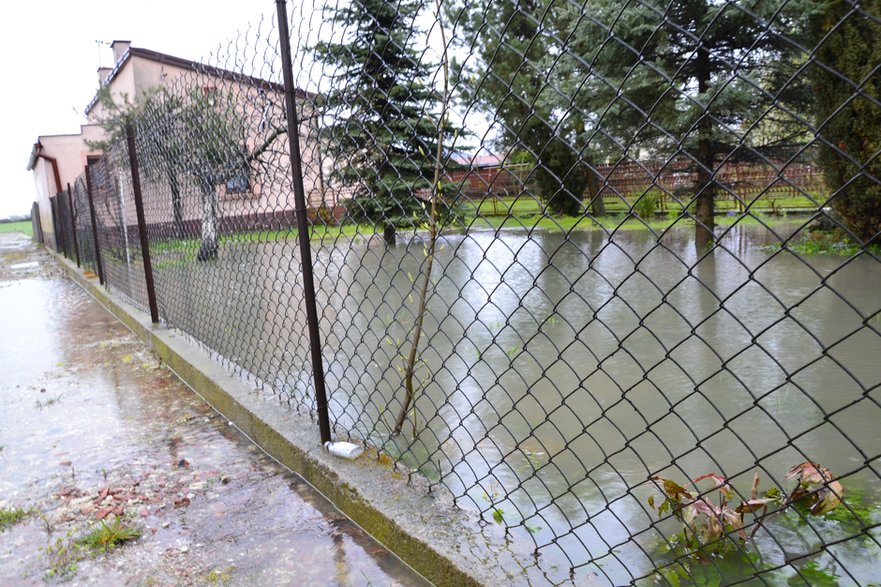 Podtopione podwórka w Gołębiewie