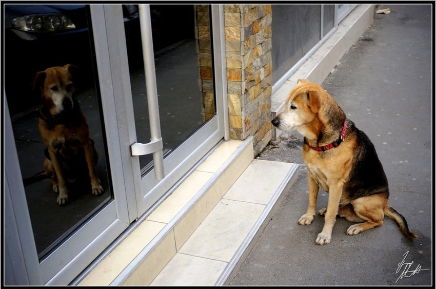 Foto: D. Milenković