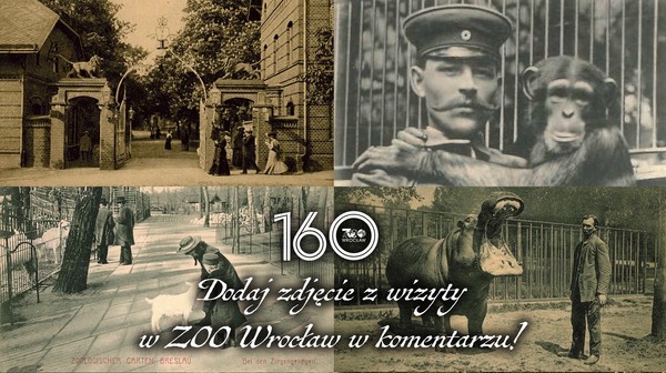 Wrocławskie zoo ma 160 lat
