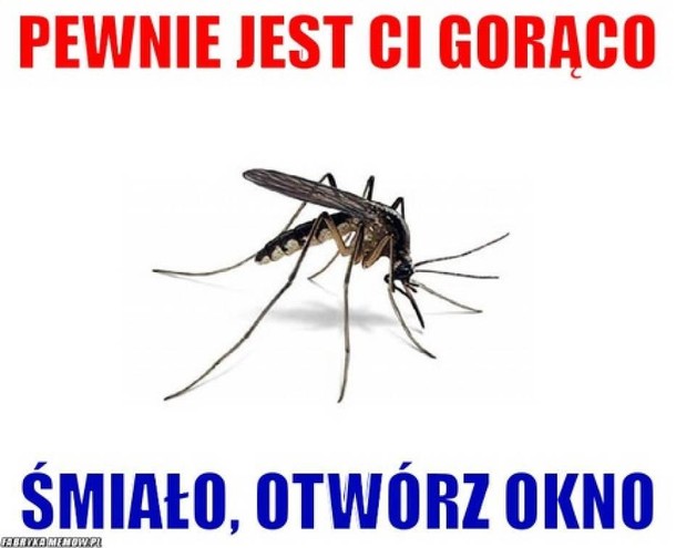 memy upał