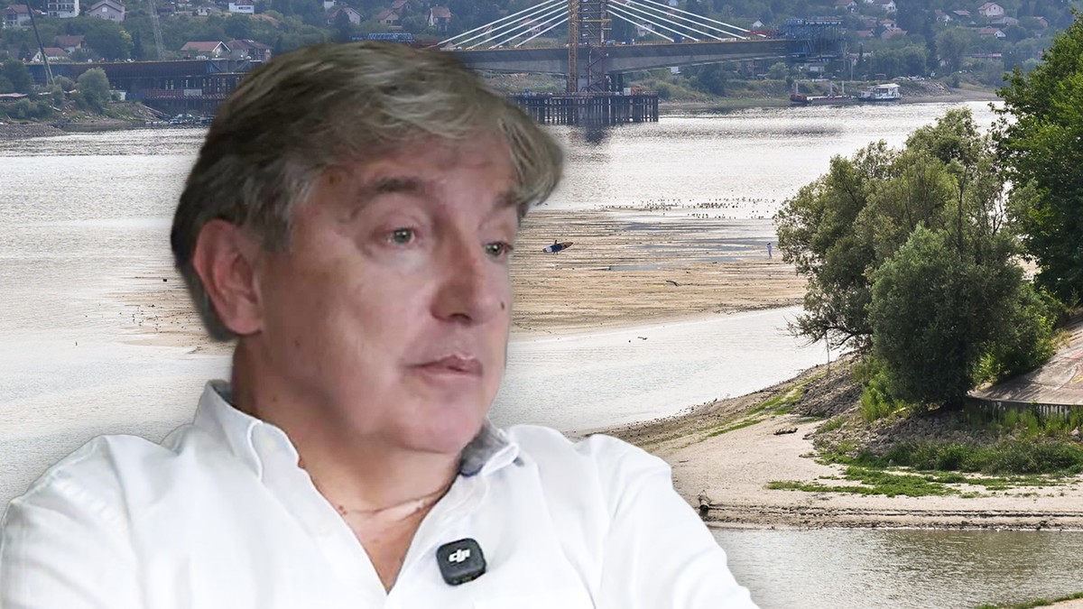 Dejan Vladiković, Dunav 