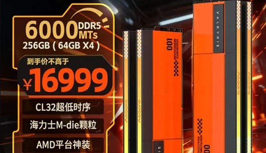 Asgard 256GB RAM DDR5