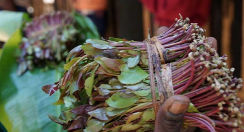 Miraa export banned