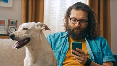 właściciele psów i kotów obowiązkowo zapłacą podatek? gminy ściągają o