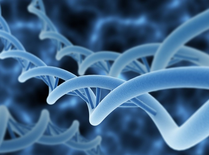 3. Głównym czynnikiem ryzyka są geny