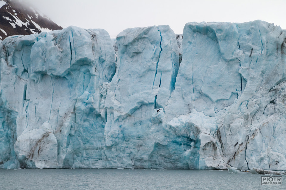 Lodowiec w południowej części fiordu Hornsund (Körberbreen)